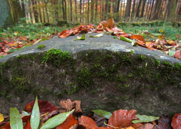 Old Tombstone with moss and autumn leaves