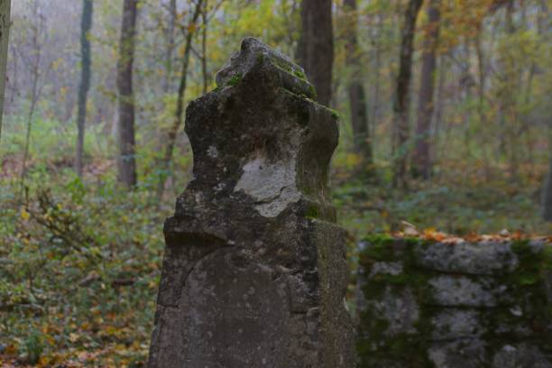 Closeup from a ancient medieval tombstone in autumn forest