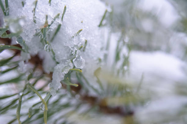 The sun's rays break through the melting snow and ice, creating amazing patterns and drops that reflect the nature of spring.