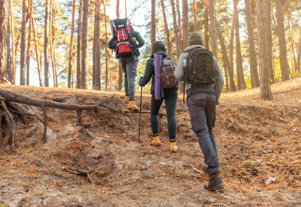 istock Back view of hiking group in forest 2181199998