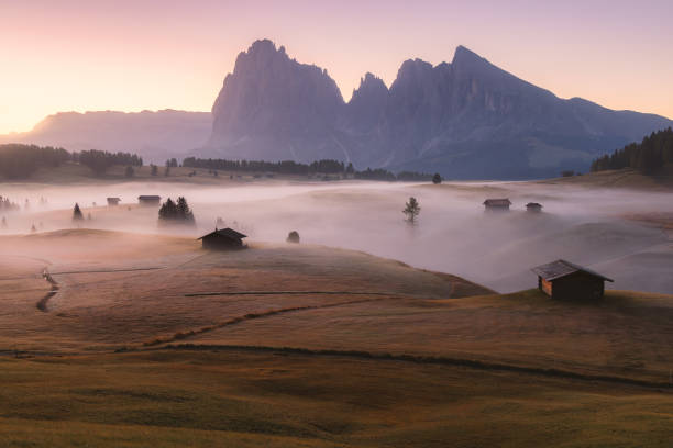 istock Alpe di Siusi. Dolomites, Italy 2181200258