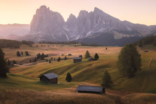istock Alpe di Siusi. Dolomites, Italy 2181200333