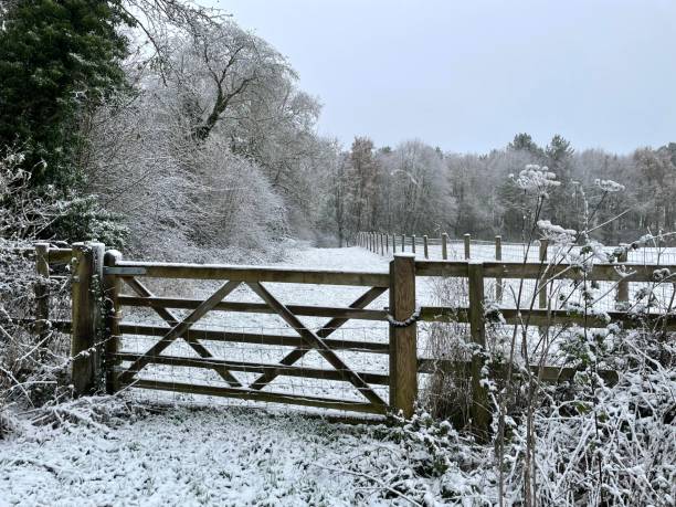istock Snowy farm scene in Northamptonshire England 2181202039