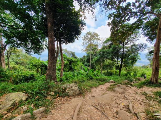 istock Phu Kradueng National PARK 2181204220