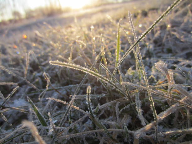 istock Macro Snowflakes in the Wintertime in Belarus 2181204373