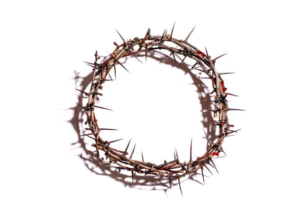 Crown of thorns Crown of thorns isolated on white background, copy space. Christian concept of suffering. Passion Of Jesus Christ. Good Friday and Easter. thorn wreath stock pictures, royalty-free photos & images