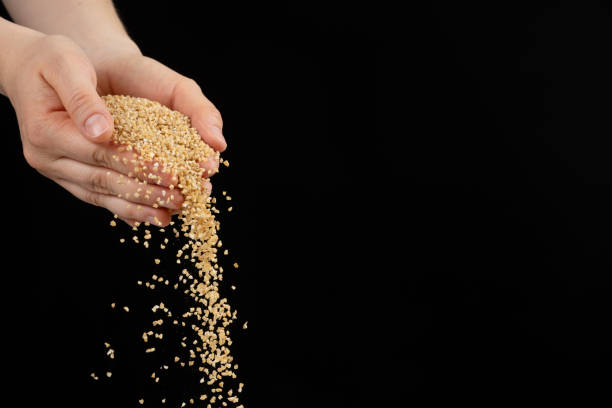 istock Hands pour raw uncooked wheat groats on black background copy space for text 2181209445