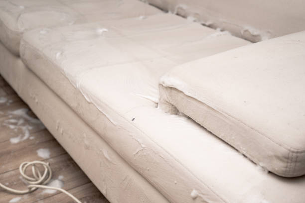 istock Cleaning a dirty sofa with a sofa washer 2181209893