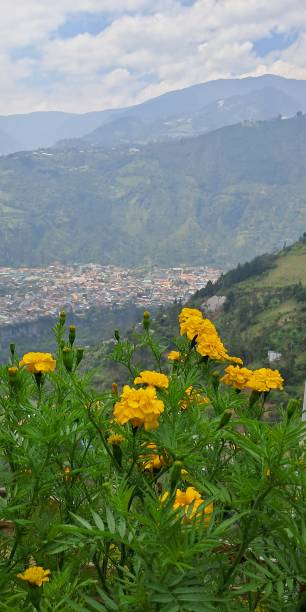 Mountain landscape of Gran Canaria, Canary Islands
