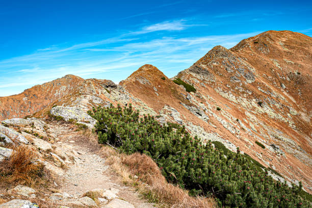 A high mountain trail in the hills.