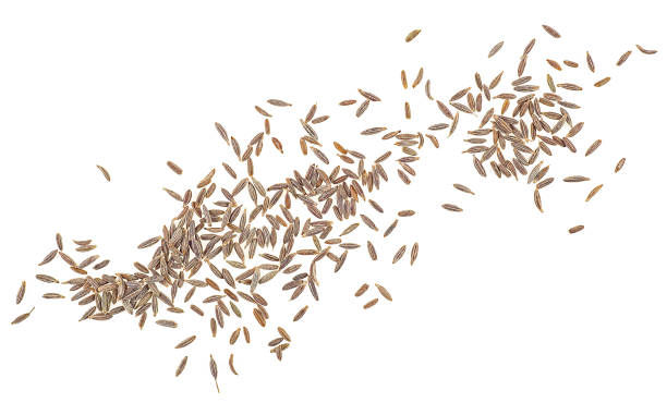 istock Dried cumin seeds isolated on a white background, top view. Persian cumin. 2181223239