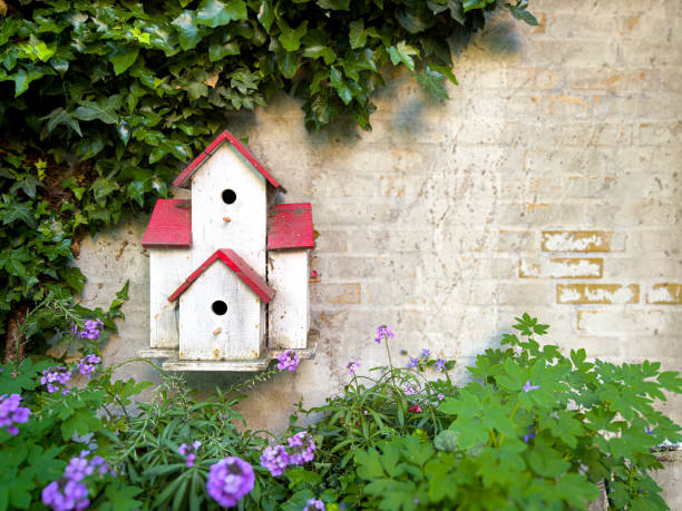 A charming and picturesque birdhouse delicately nestled beside cheerful vibrant flowers and an old rustic wall