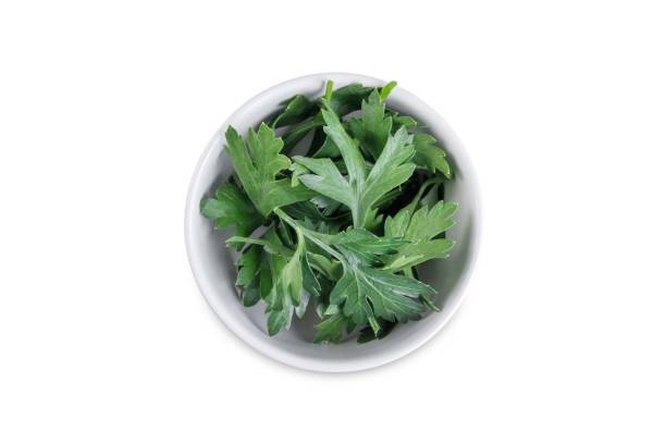 istock Fresh parsley leaves in a bowl on a white isolated background 2181227745