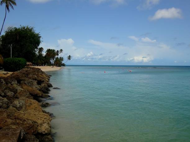 Pigeon Point Beach on the Caribbean island of Tobago.