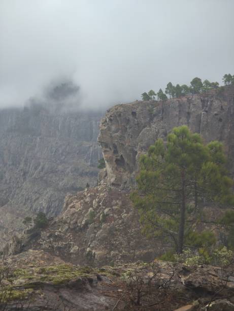 istock Cliff Faneque in Gran Canaria 2181232538