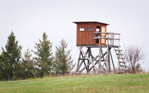 istock High seat for hunters and gamekeepers in the nature. 2181233885