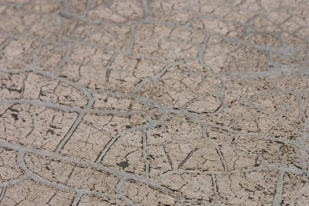 istock Intricate patterns on cracked ground showcasing drought conditions in a dry landscape 2181236056
