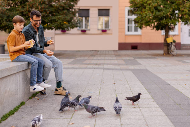 Young male tourist is sitting on a street bench in Valletta and feeding pigeons