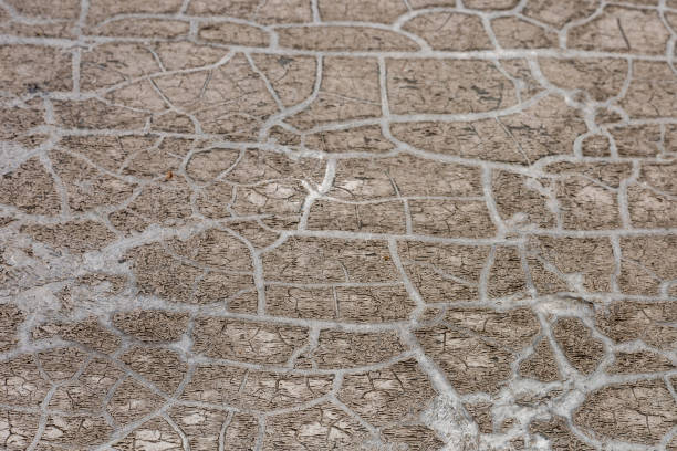 Cracked earth surface under bright sunlight showcases drought conditions in a rural area
