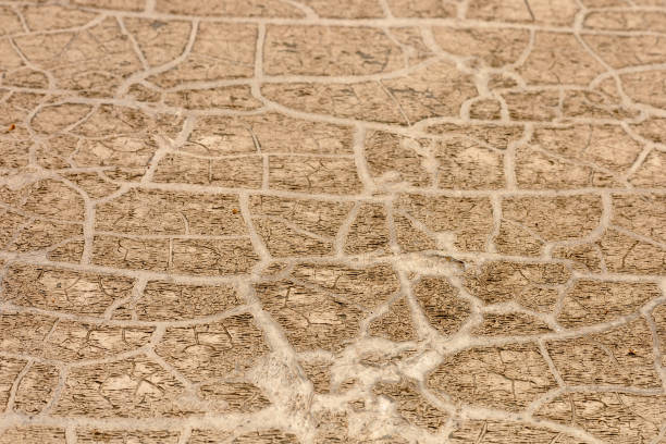 istock Intricate patterns on cracked ground showcasing drought conditions in a dry landscape 2181236231
