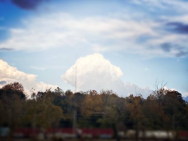 Mushroom Shaped Cloud over Tree Tops with Train Cars