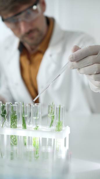 istock Man scientist wearing a lab coat, white gloves and protective glasses, is dripping liquid from a pipette into a test tube with a green plant inside, vertical portrait. Science and medicine concepts 2181240641