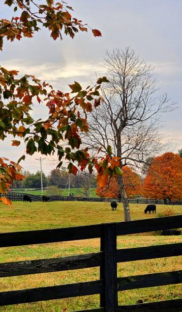 istock Autumn October Rural Scenery 2181245153