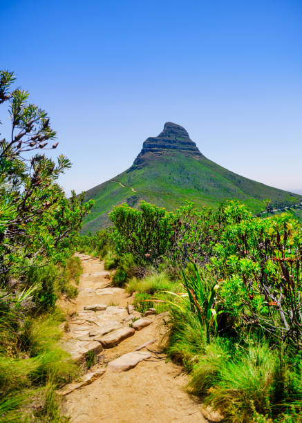 istock Hiking trail leading to Lion's Head Mountain on a clear spring afternoon 2181248140