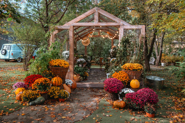 Charming garden greenhouse adorned with fall flowers and pumpkins in autumn A rustic greenhouse displays vibrant autumn flowers and pumpkins, surrounded by colorful foliage. The setting creates a warm atmosphere perfect for fall gatherings and celebrations. fall picnic table stock pictures, royalty-free photos & images