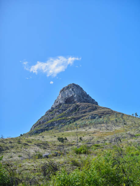 Mountain wilderness - Western Cape, South Africa