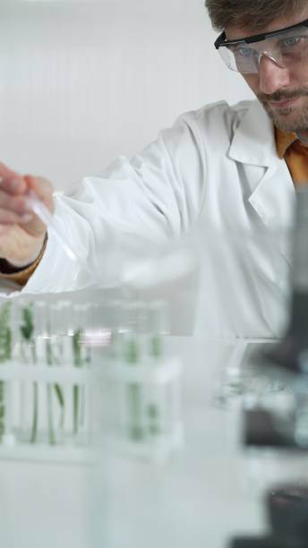 istock A male science researcher, wearing a lab coat and protective glasses, drips liquid from a pipette into a test tube containing a green plant. His face is focused, captured in a vertical portrait. Science and medicine 2181252804