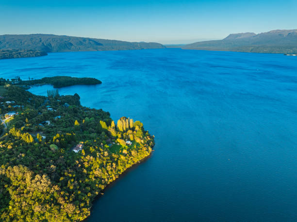 Aerial view of a serene blue lake with lush green forested hills under a clear blue sky during a sunny day in Rotorua, New Zealand