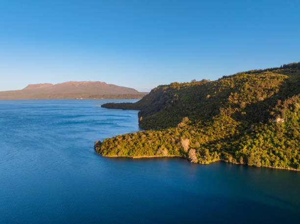 Aerial view of a serene blue lake with lush green forested hills under a clear blue sky during a sunny day in Rotorua, New Zealand.