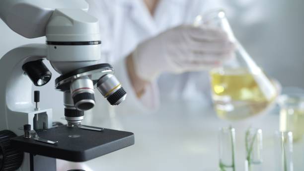 istock Microscope is near a scientist, wearing a lab coat and white protective gloves, and holding beaker with a yellow oily liquid in laboratory setting, close up. Medicine and science concept 2181254202
