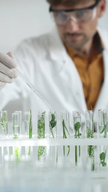 istock Man scientist wearing a lab coat, white gloves and protective glasses, is dripping liquid from a pipette into a test tube with a green plant inside, vertical close up view. Science and medicine 2181254458