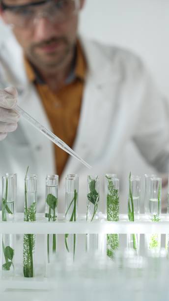 istock Man scientist wearing a lab coat, white gloves and protective glasses, is dripping liquid from a pipette into a test tube with a green plant inside, vertical portrait. Science and medicine concepts 2181254633