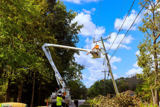 istock Power line worker repairs installs equipment on utility pole using a hydraulic lift. 2181255586