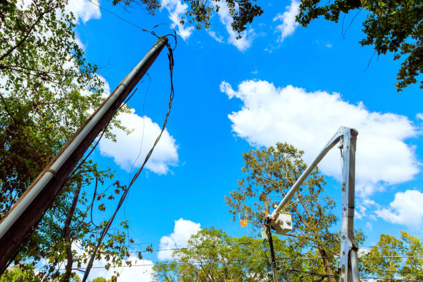 istock An electrical pole is repaired by technician using bucket lift following a hurricane 2181255588