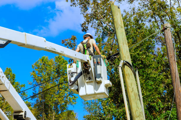 istock Technician handles wiring on power pole using a lift, set against home 2181255589