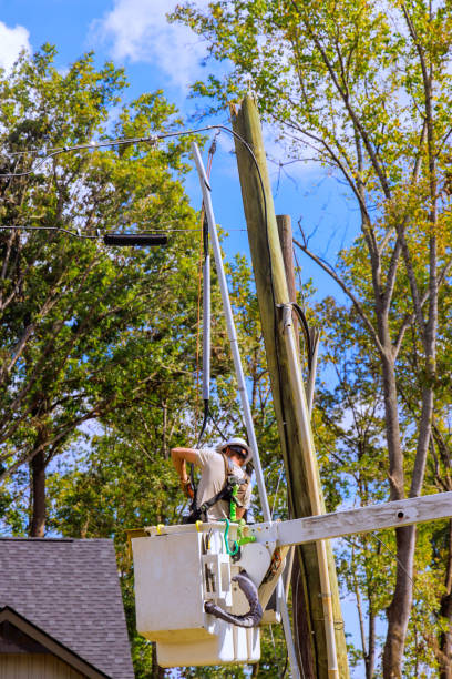 istock Lineman operates from raised lift to inspect maintain power transformer on a pole. 2181255592