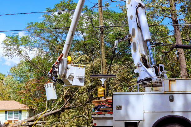 istock After hurricane, technician works on an electrical pole using a bucket lift 2181255595