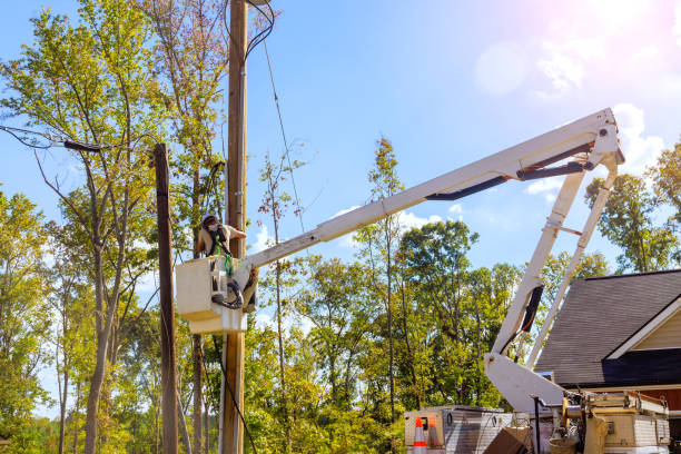 istock Lineman performing overhead electrical maintenance using a bucket lift truck 2181255600