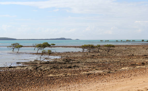 istock Beach with a sandy shoreline, mangrove trees and the ocean under a blue sky 2181263652