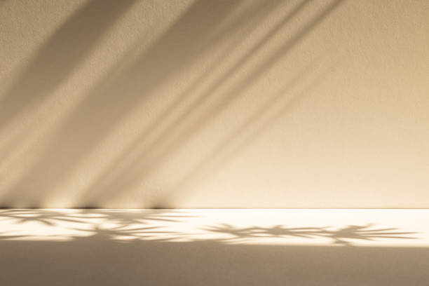 istock Studio style background wall decoration presentation uses white and beige tones. with shadows cast from a nearby window, concept creating a decorative 2181270580