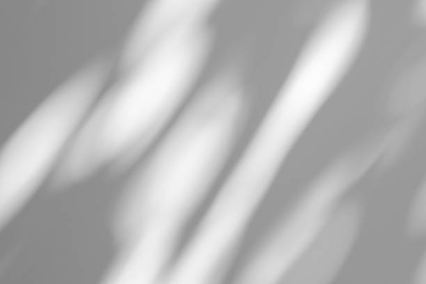 istock Wall interior background, studio and backdrops show products.with shadow from window color white . background for text insertion and presentation product 2181270583