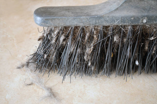 istock Dirty sweeping brush with pile of dust. 2181280054