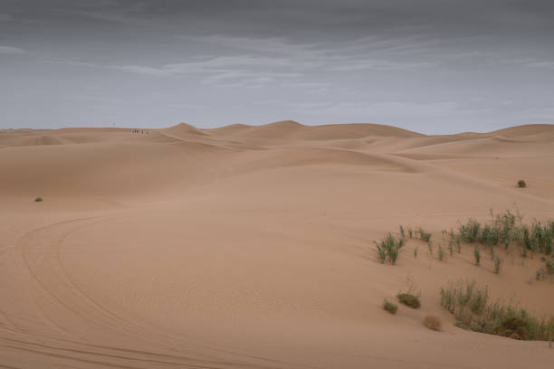 Badain Jaran Desert in Inner Mongolia, China, the third largest desert, copy space for text
