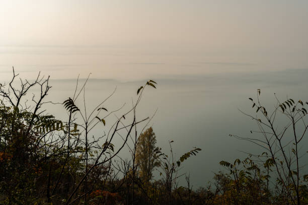 A misty view of the lake seen through the delicate branches and autumn leaves on the Tihany Peninsula. The hazy atmosphere and soft light create a tranquil, almost dreamlike scene overlooking the calm water.