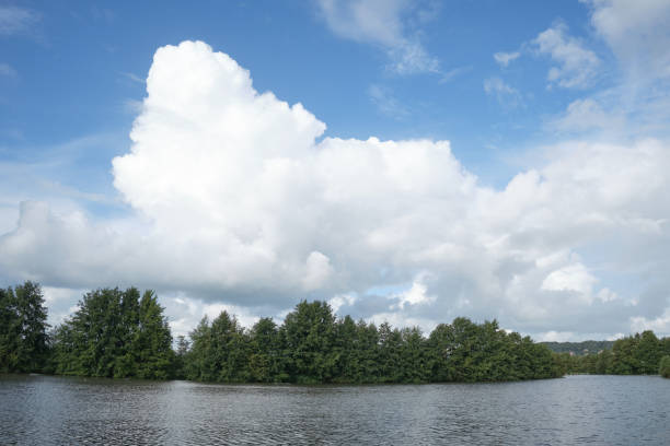 Panoramic scenic view of a lake surrounded by trees under beautiful blue sky