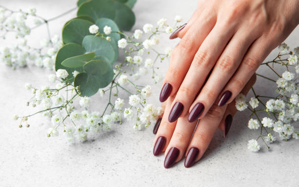 istock Elegant manicure with deep burgundy nails surrounded by delicate white flowers on a soft surface 2181292043
